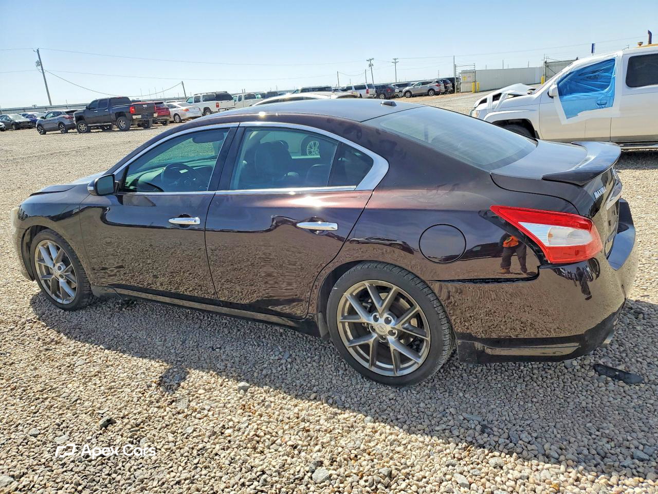 Nissan Maxima 2010