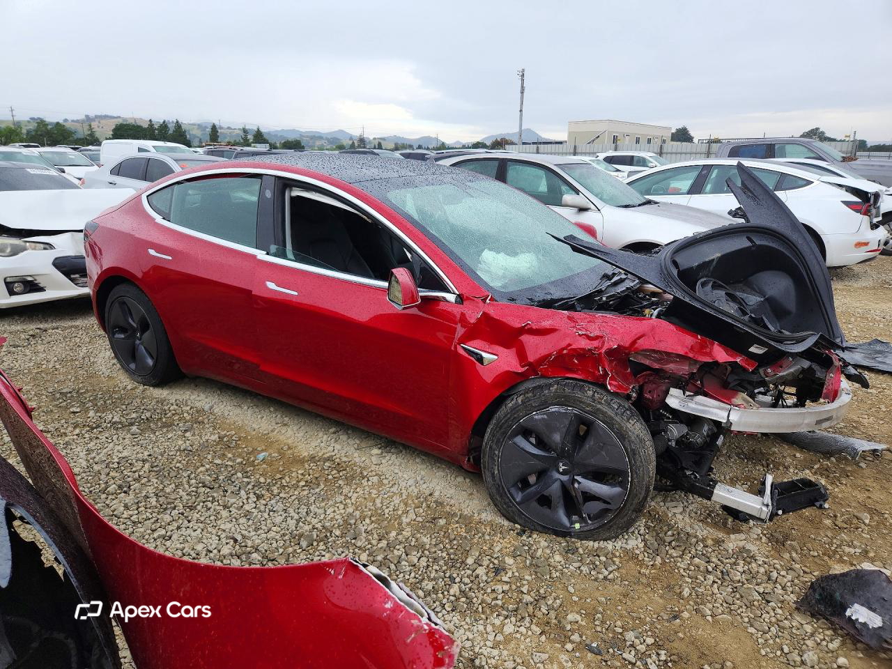 Tesla Model 3 2020