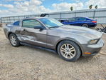 Ford Mustang 2011