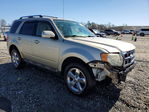 Ford Escape 2010