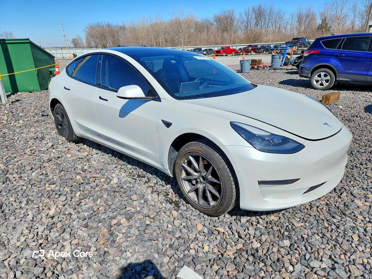 Tesla Model 3 2021