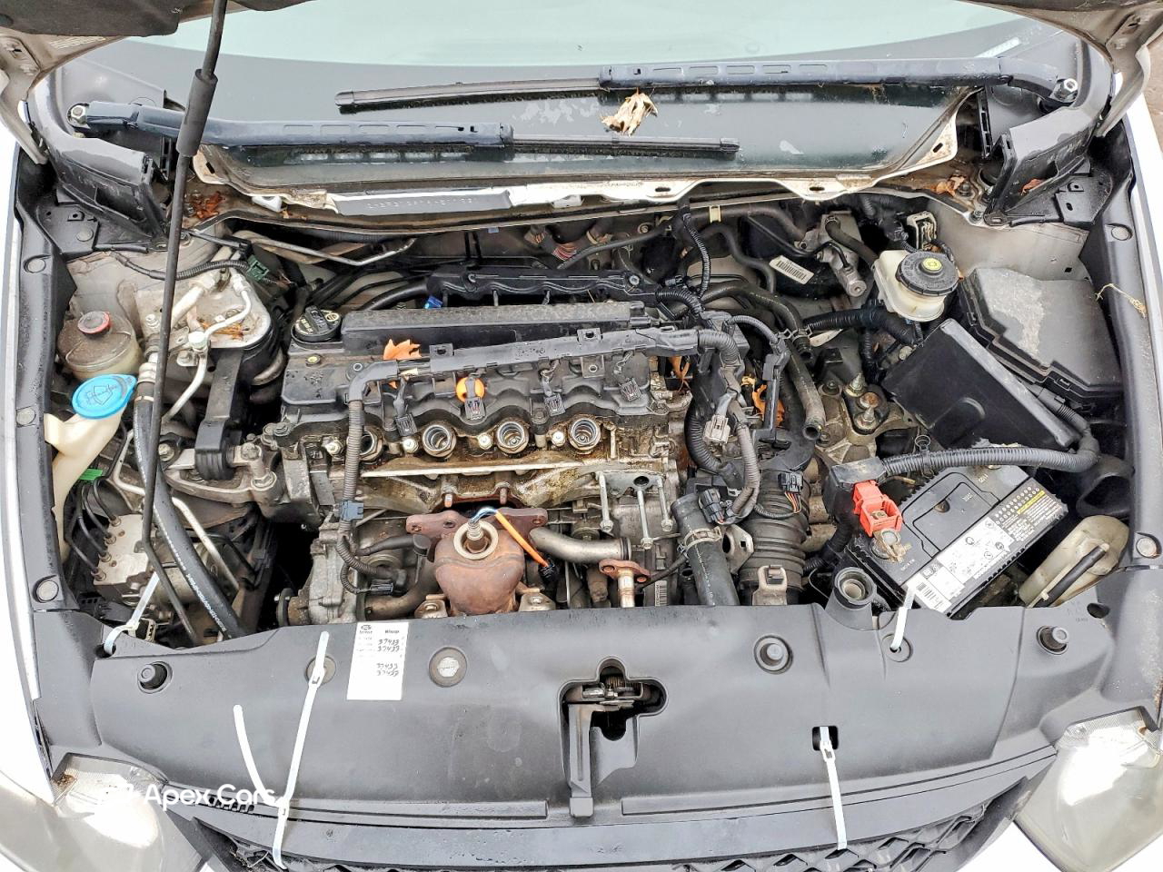 Honda Civic 2009