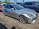 Lexus IS 2015