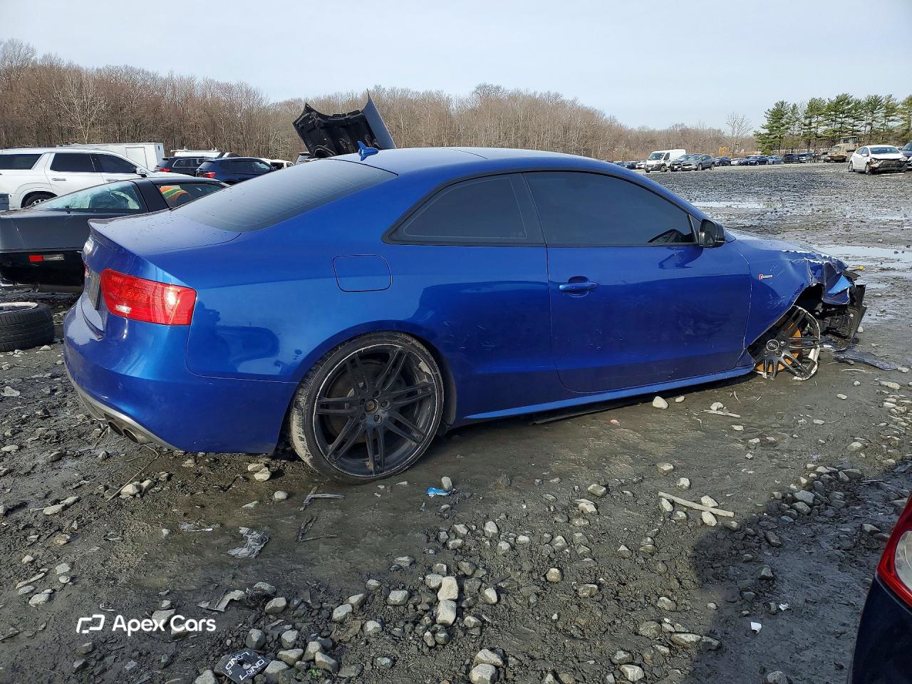 Audi RS5 2017
