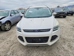 Ford Escape 2015