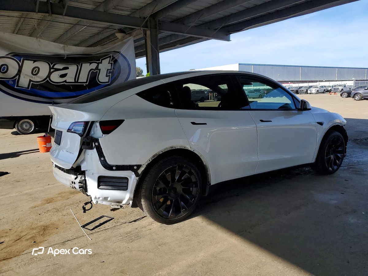 Tesla Model Y 2020