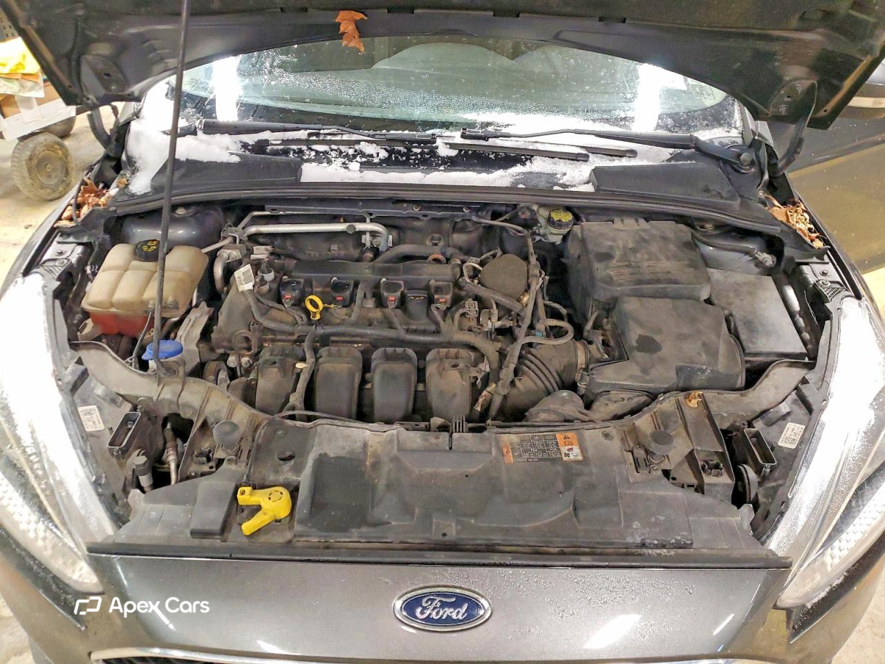 Ford Focus 2015