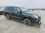 Lexus GX 2019