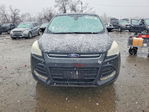 Ford Escape 2013