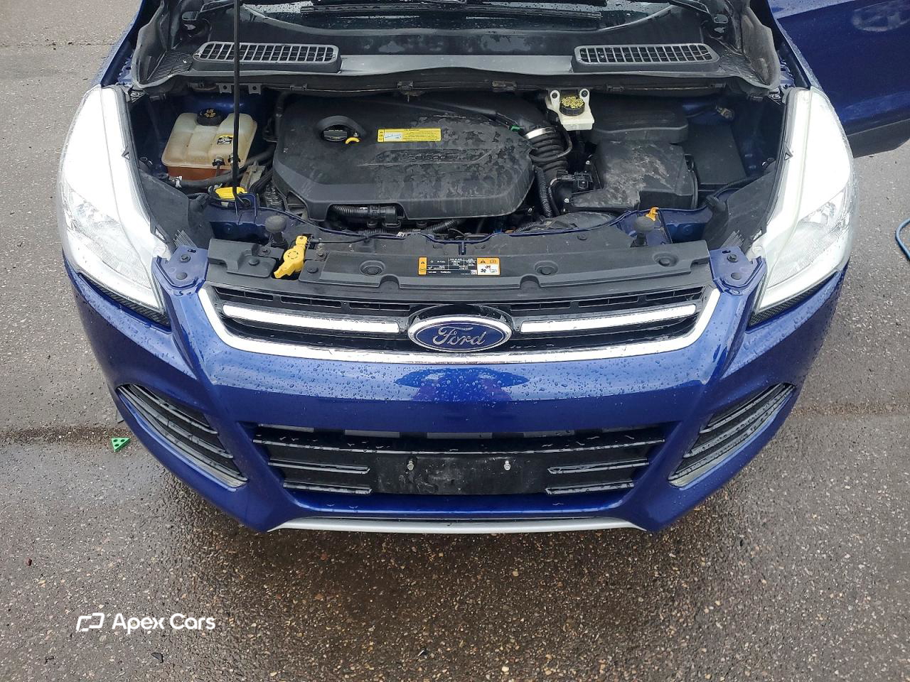 Ford Escape 2013