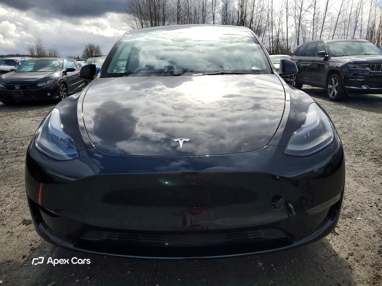 Tesla Model Y 2024