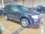 Ford Escape 2010