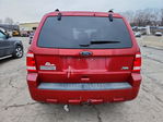 Ford Escape 2011