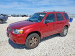 Ford Escape 2006