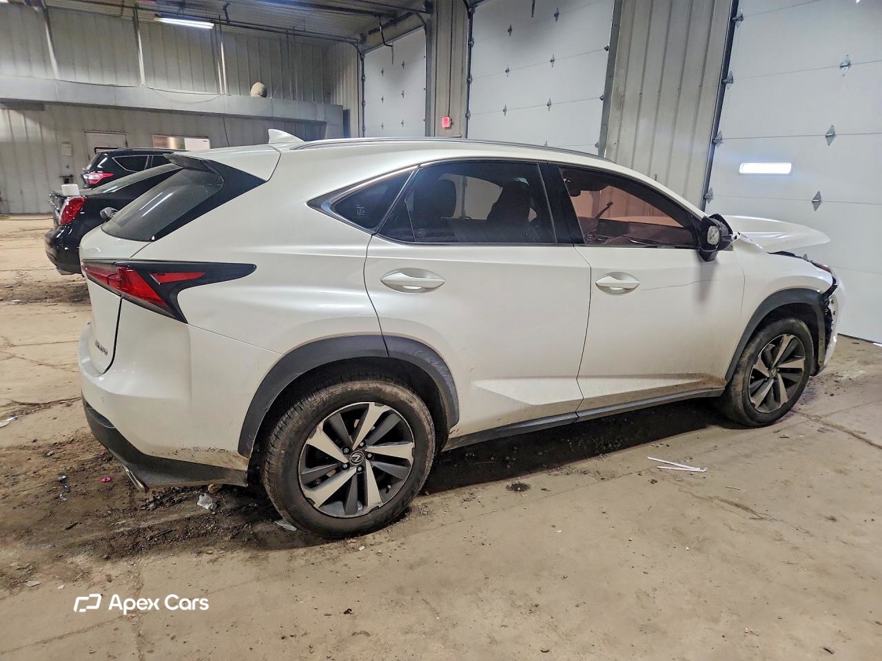Lexus NX 2019