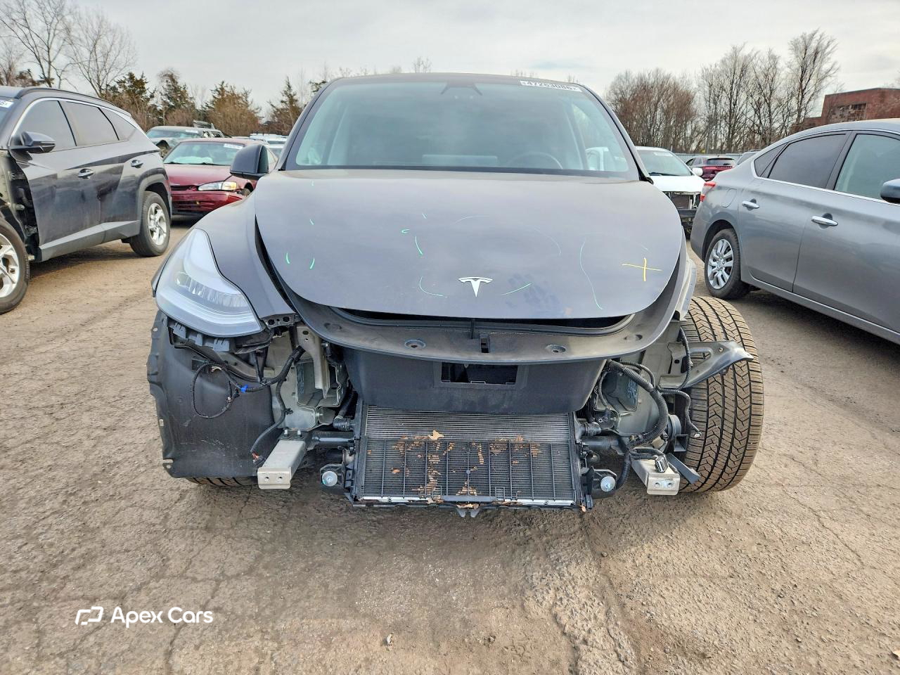 Tesla Model Y 2021