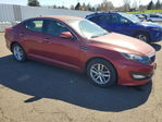 Kia Optima 2013