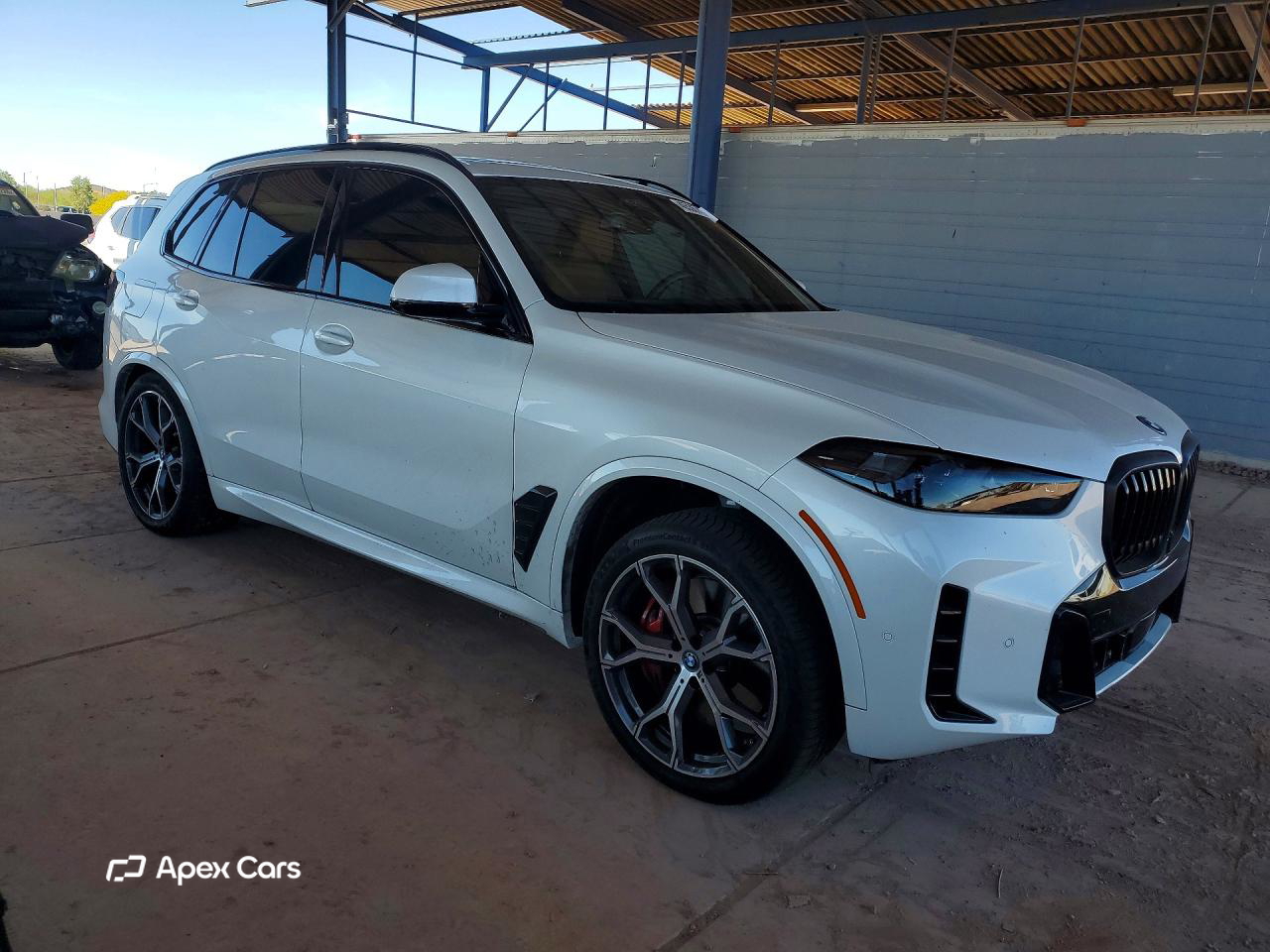 BMW X5 2025