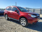 Subaru Forester 2016