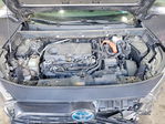 Toyota RAV 4 2024