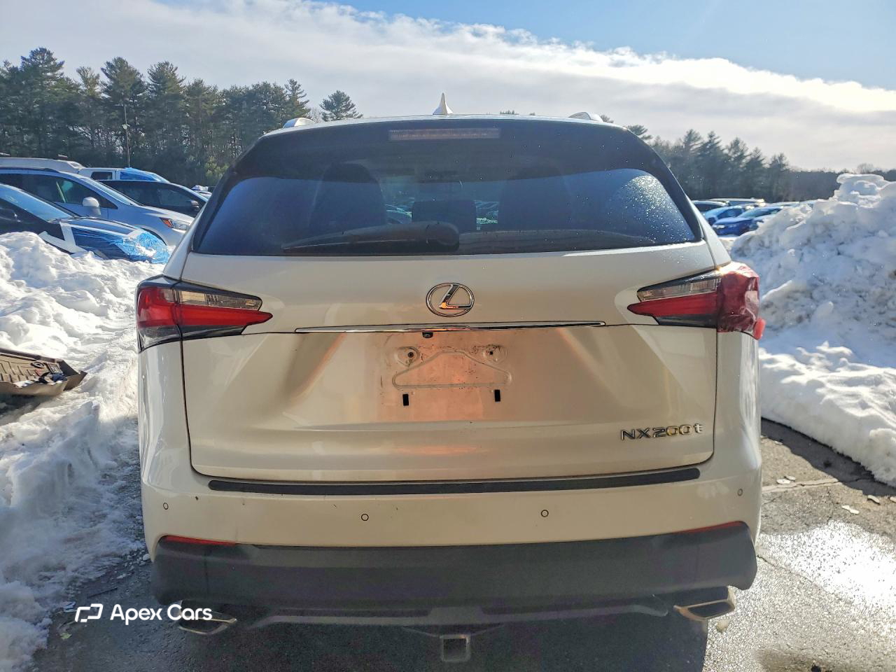 Lexus NX 2015