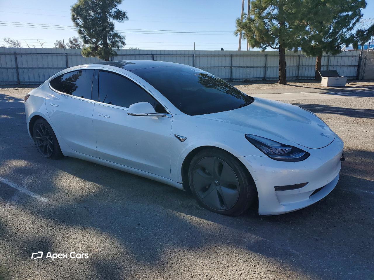 Tesla Model 3 2019