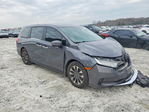 Honda Odyssey 2024