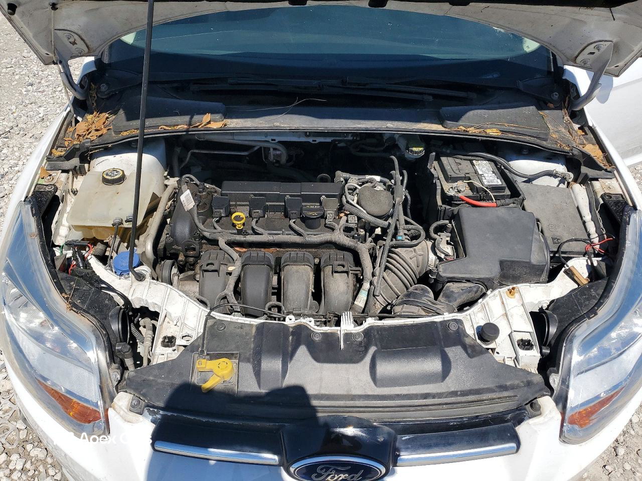 Ford Focus 2012
