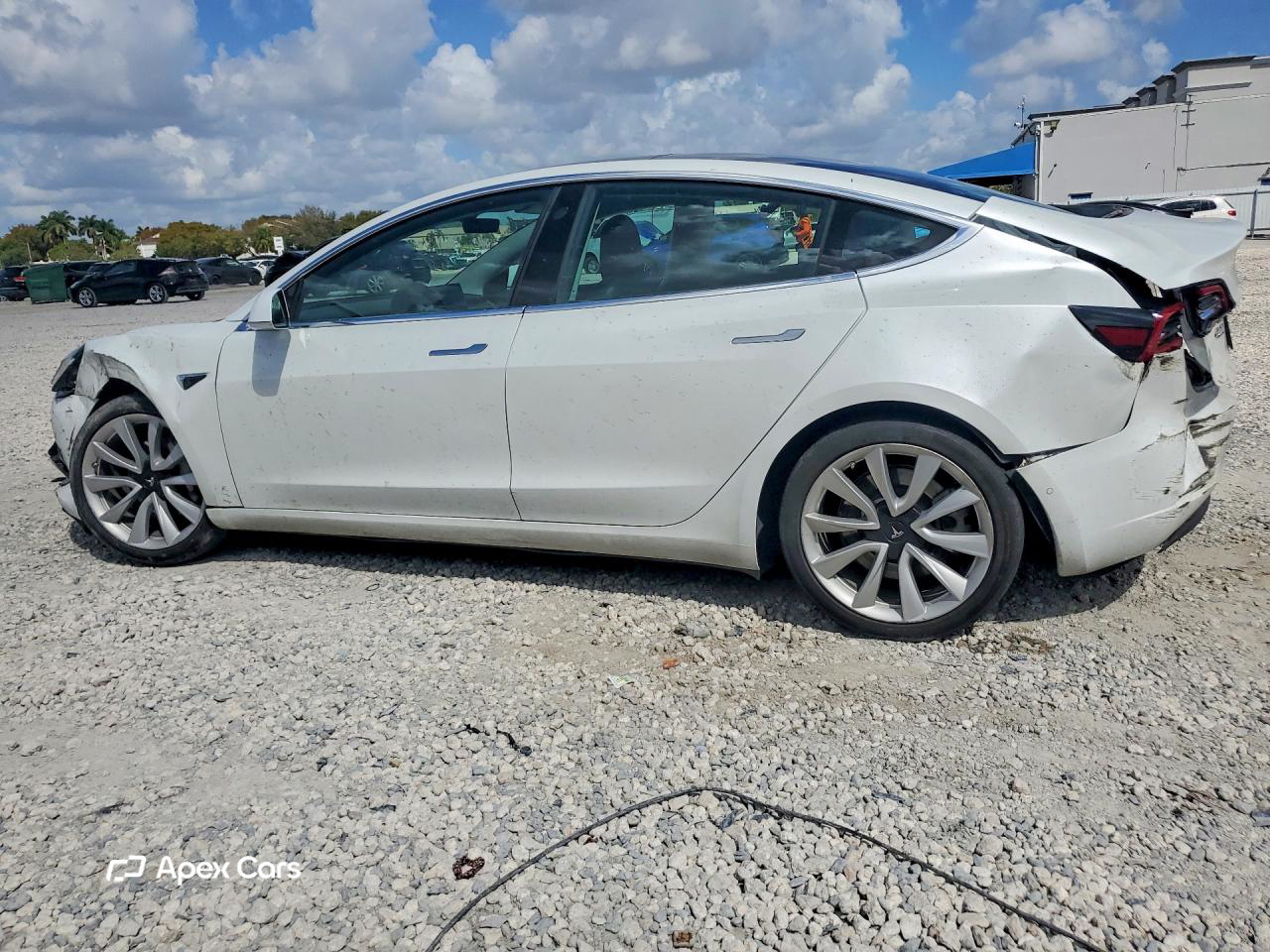 Tesla Model 3 2019