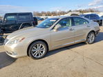 Lexus ES 2011