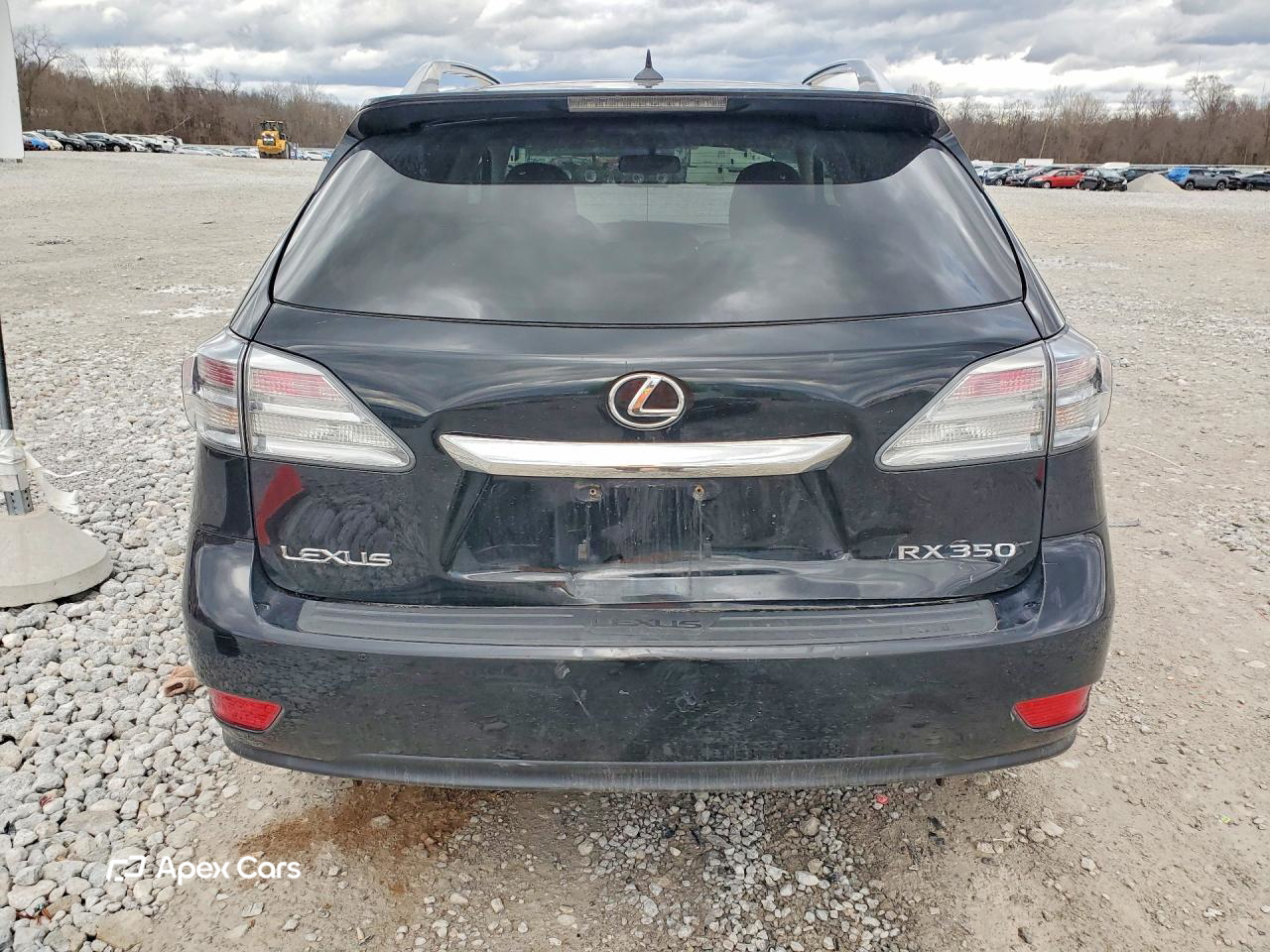 Lexus RX 2010