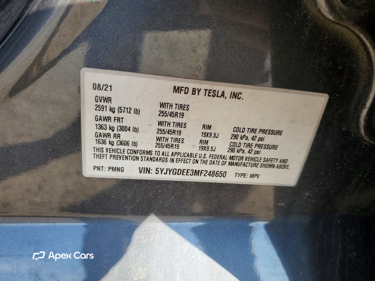 Tesla Model Y 2021