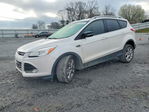 Ford Escape 2014