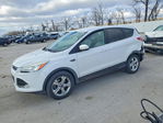 Ford Escape 2014