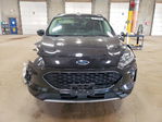 Ford Escape 2020