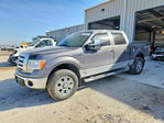 Ford F-150 2009