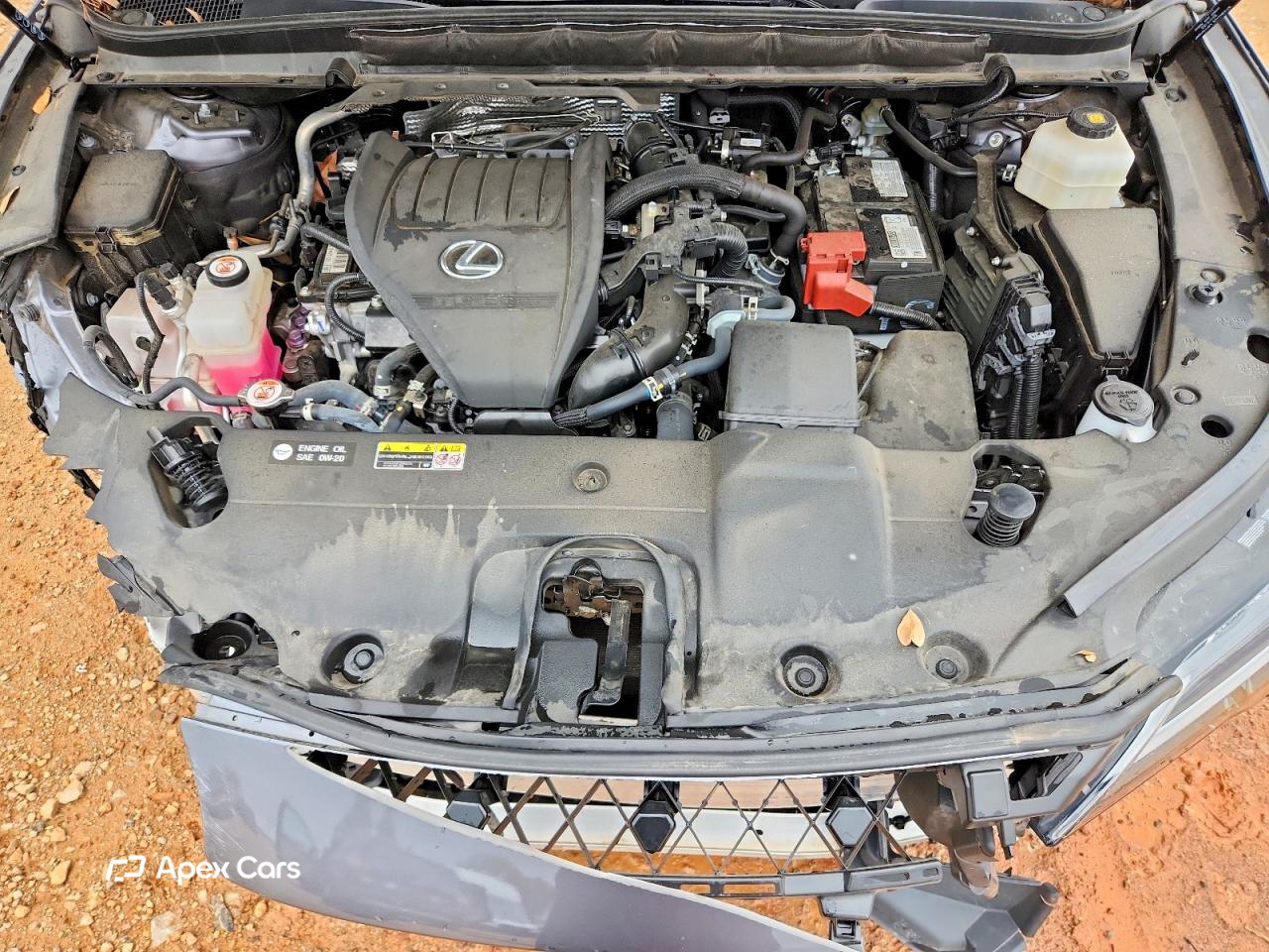 Lexus RX 2023