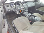 Ford Mustang 2012