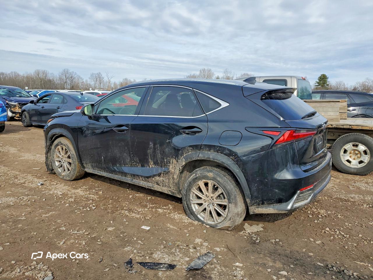 Lexus NX 2021