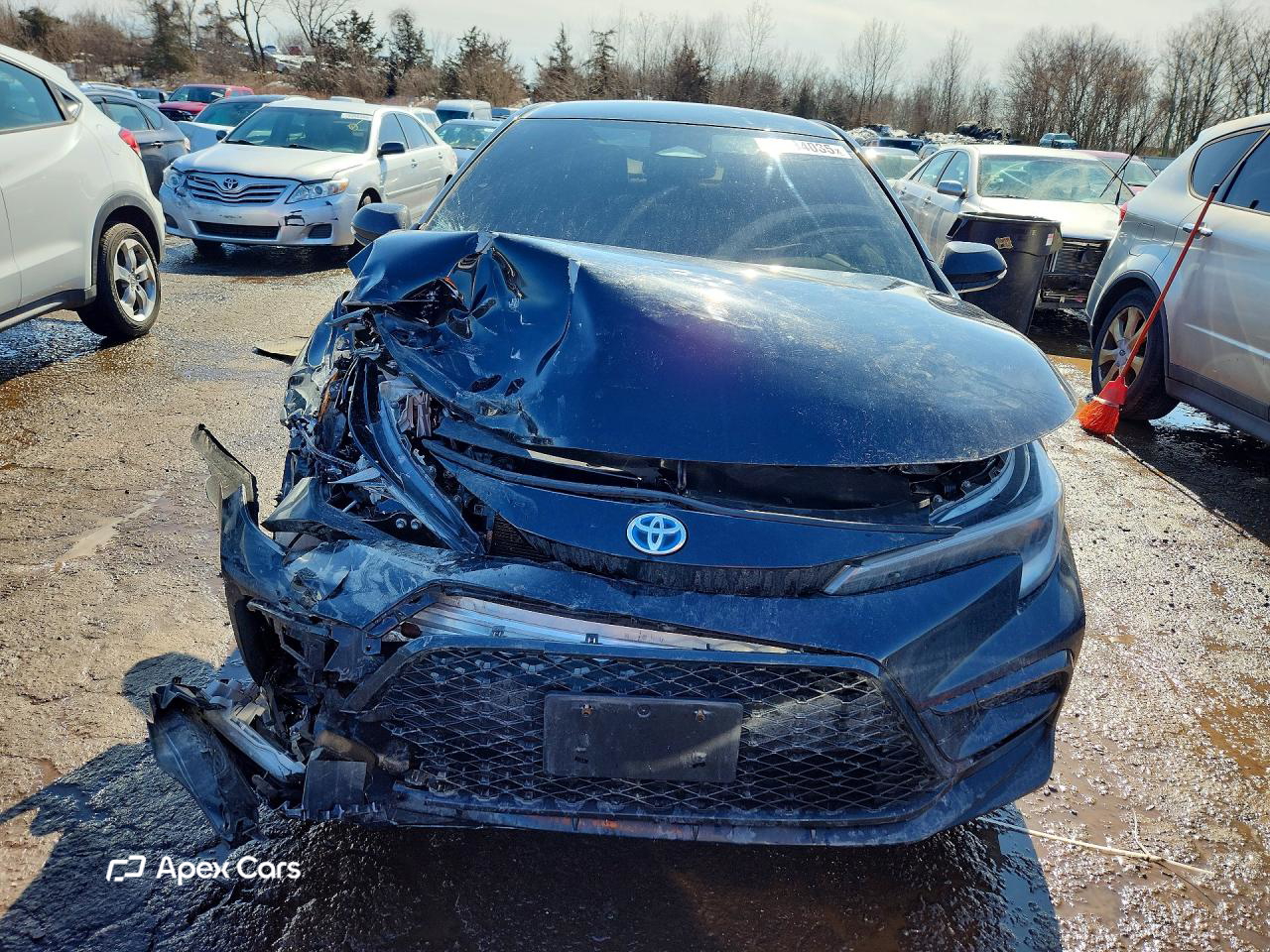 Toyota Corolla 2023