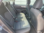 Kia Forte 2024