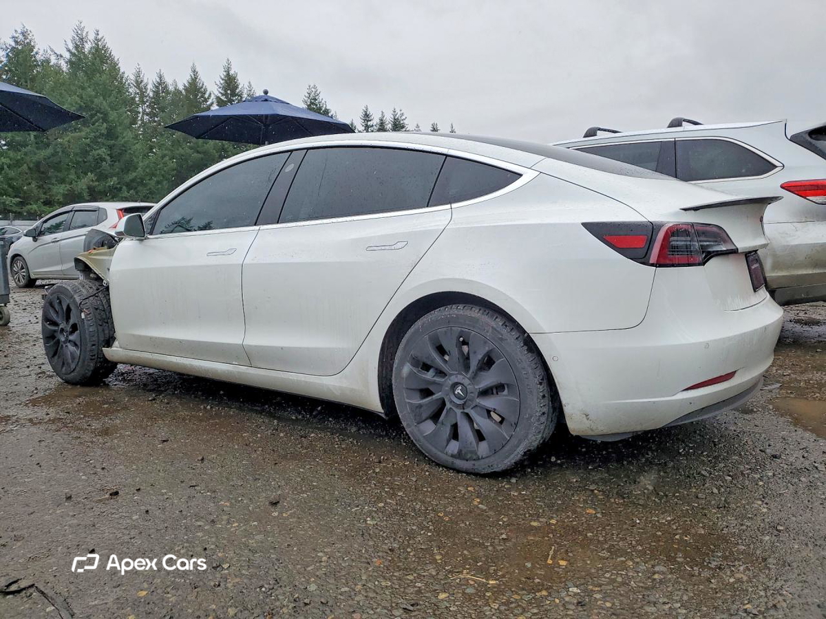 Tesla Model 3 2019