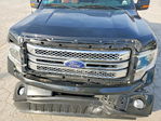 Ford F-150 2013