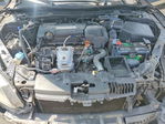Honda Accord 2013