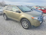 Ford Edge 2013