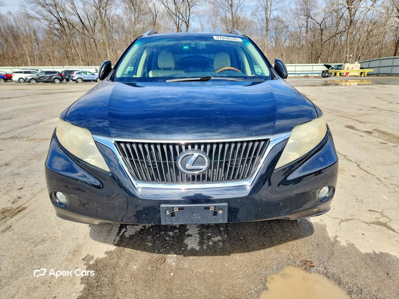 Lexus RX 2010
