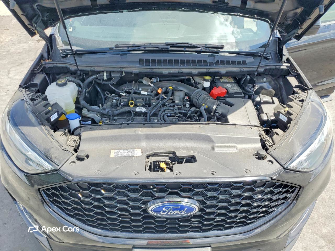 Ford Edge 2024