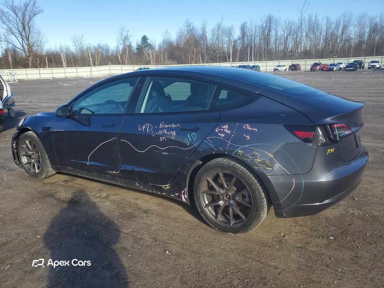 Tesla Model 3 2023