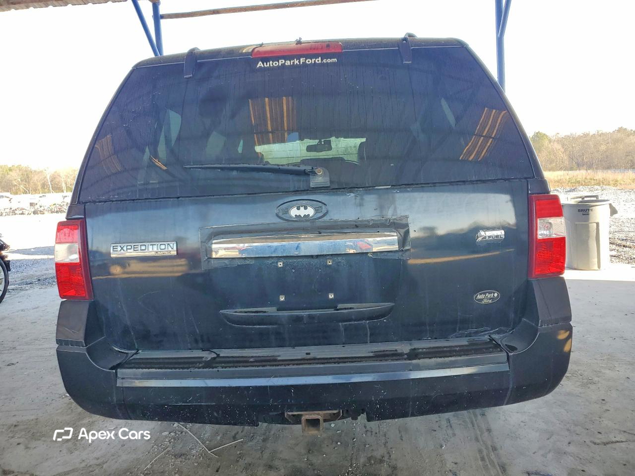 Ford Expedition 2010