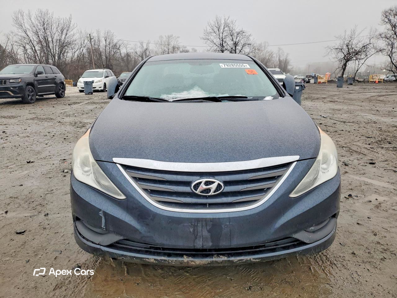 Hyundai Sonata 2014
